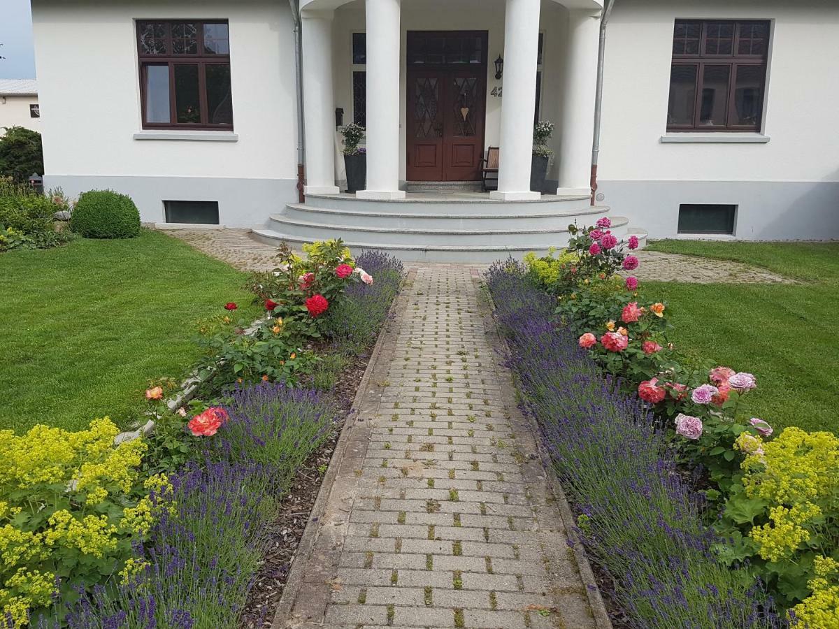 Moltke-Villa Teterow Exterior photo